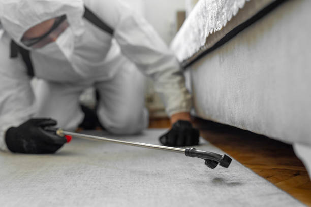 Professional Termite Control technician working in Midway South, TX