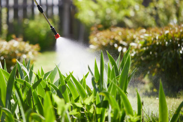 24/7 Emergency Termite Control experts in Midway South, TX