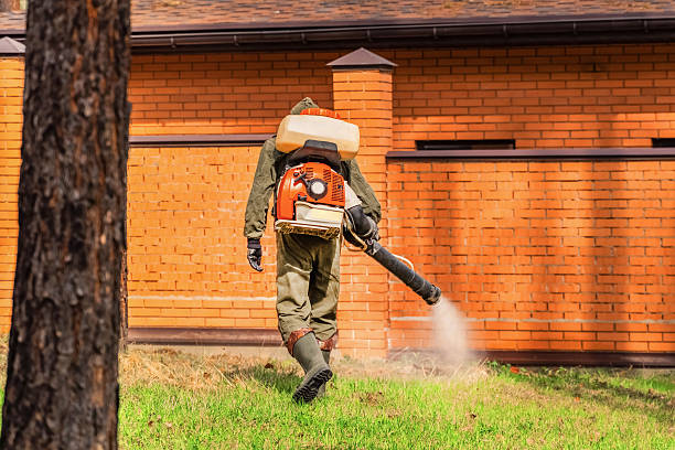 Trusted Cockroach Control service in Midway South, TX - Nex Pest Control